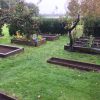 Veg Garden Oct 2016 1